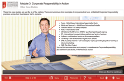 Business Sustainability Programme module 3