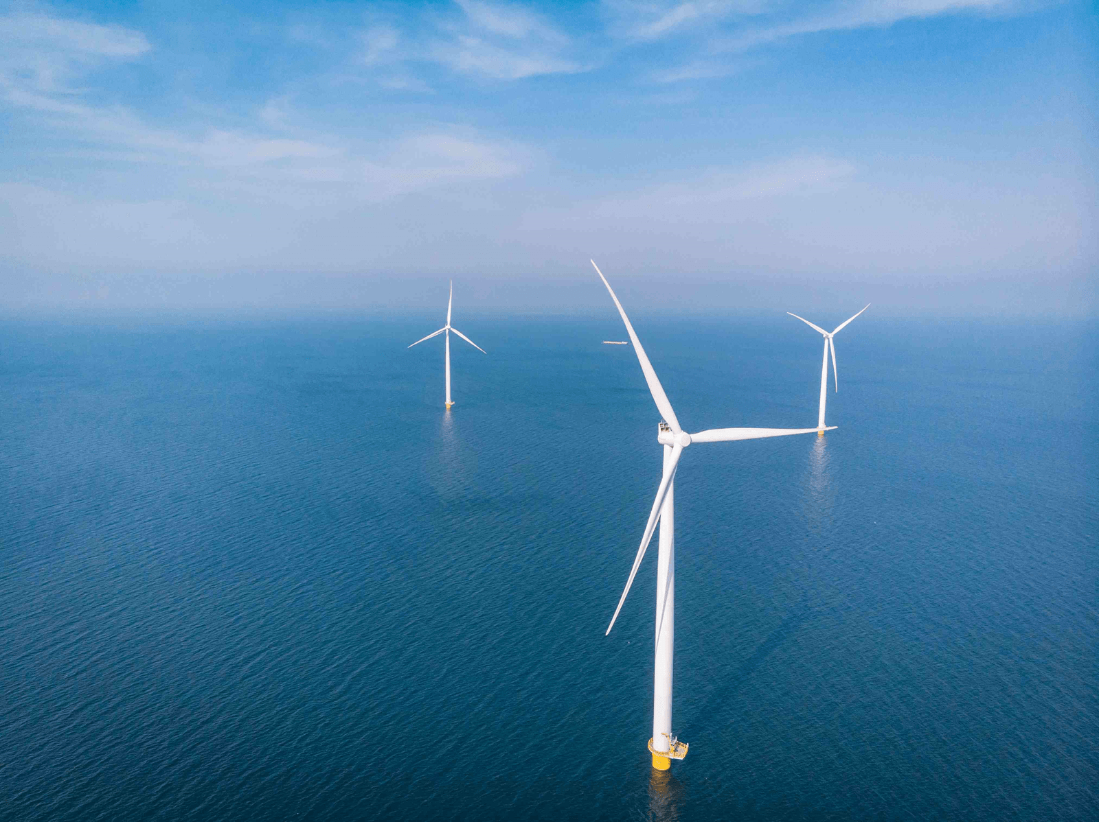 image of windmills in sea
