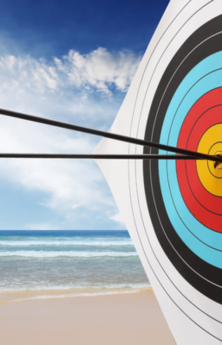 Target with arrows in the bullseye