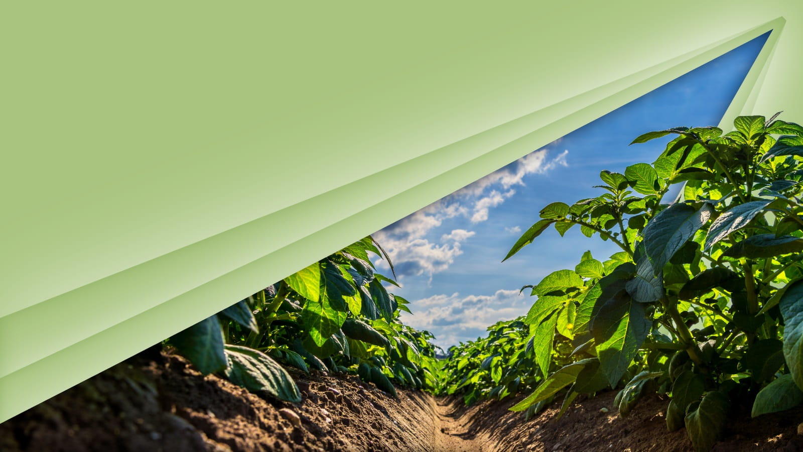 Farming conference