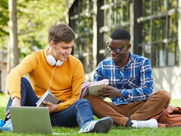 Two young male students working on a campus lawn