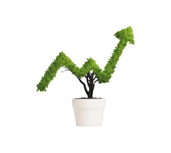 Upwards Growth, pot