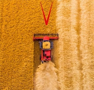 A red agricultural combine harvester working in a golden wheat field, creating a clear path of harvested crop. The image is taken from above, showing the contrast between the uncut wheat and the freshly harvested section.