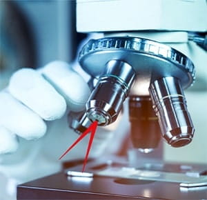 A close-up view of a laboratory microscope with a gloved hand adjusting the objective lens. The image highlights the precision equipment used for scientific research or analysis, with metallic components and a glass slide visible under the lens.
