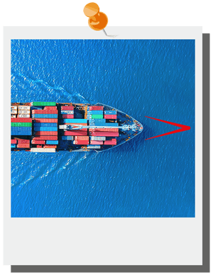 Global Trade polaroid