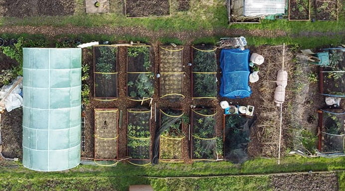Garden allotments seen from above