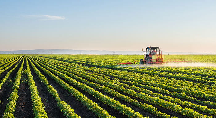 A tractor spray crops