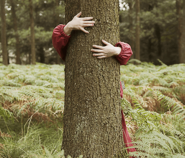 A person behind a tree, hugging it