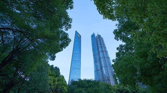Two skyscrapers seen through a gap in some trees