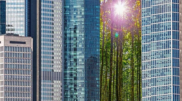 Office buildings with trees visible through a gap between them