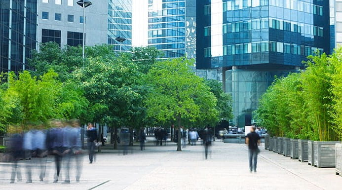 People walking with trees and office buildings in the background