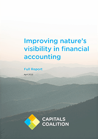 Front cover of the report, showing a mountainous landscape fading into the distance with the words 'Improving nature’s visibility in financial accounting | Full Report | April 2020' and the Capitals Coalition logo.