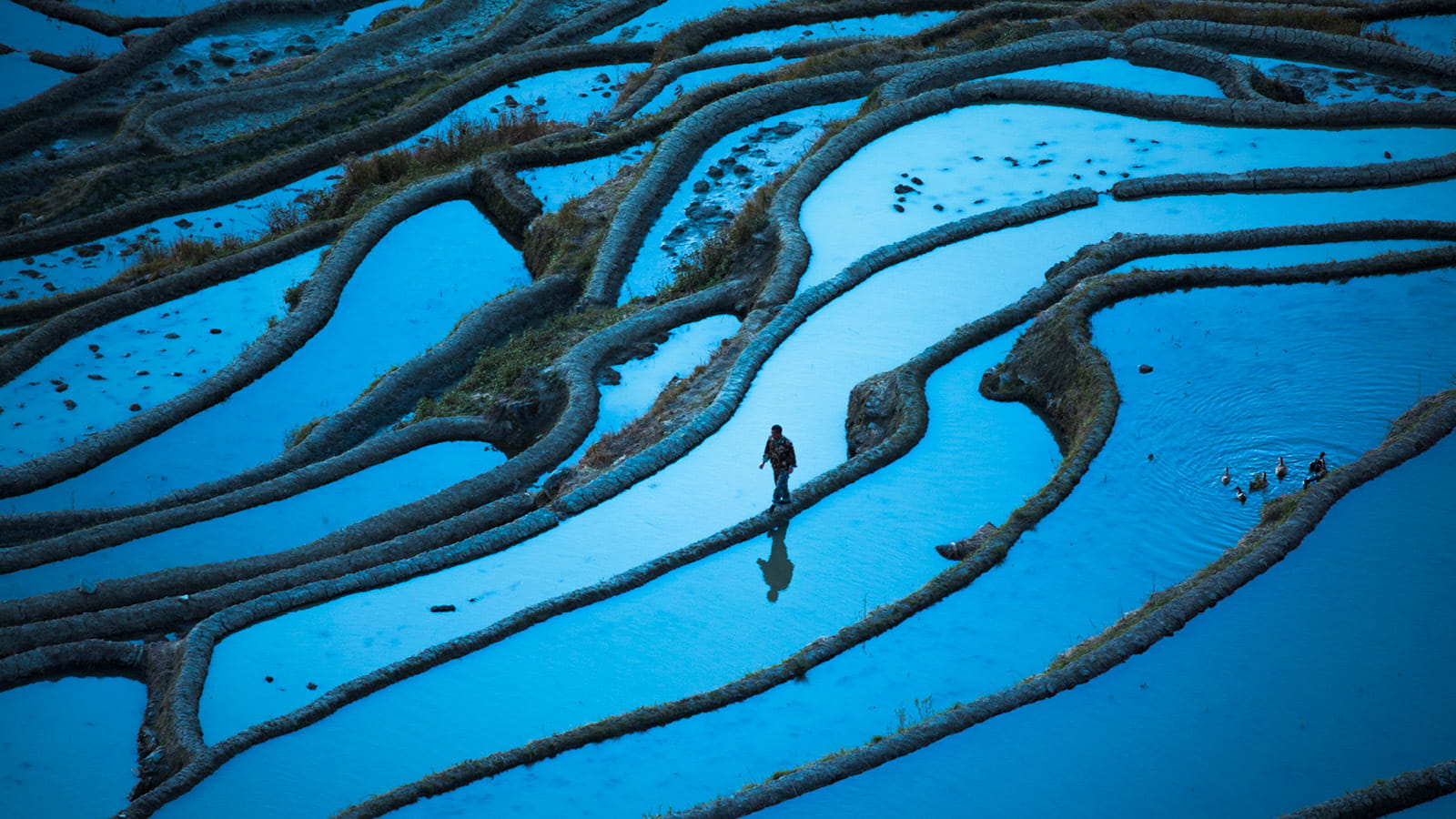 Business climate change