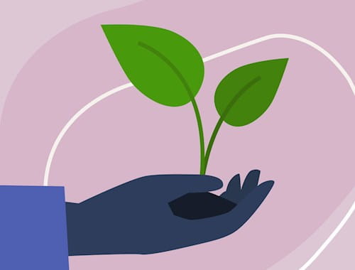 An illustration of a hand holding some soil with a small plant growing out from it.