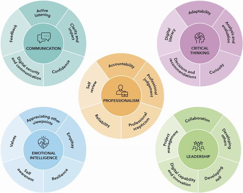 A diagram of professional skills