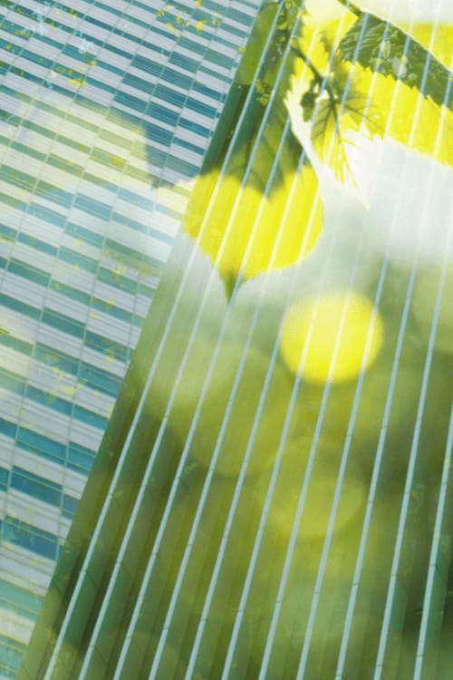Abstract image of green leaves overlaying an office building