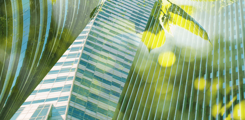 Abstract image of green leaves overlaying an office building