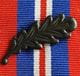 Image of an emblem on a medal ribbon