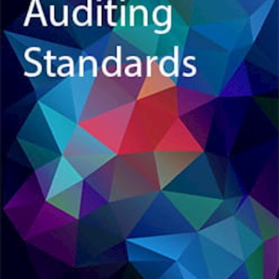 Auditing standards