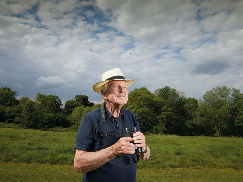 bird watching life 800