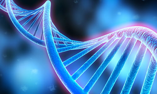 DNA
