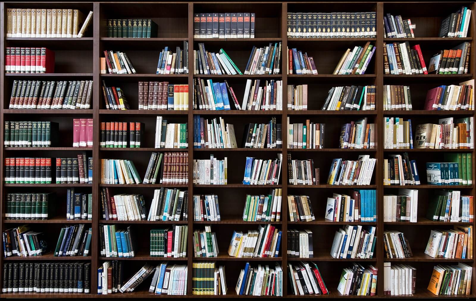Bookshelves on a laptop screen