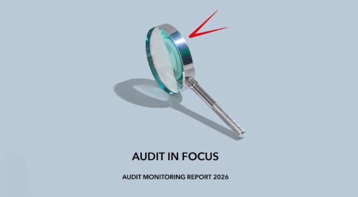 Audit in focus report cover