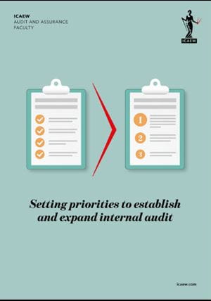 Setting priorities to establish and expand internal audit