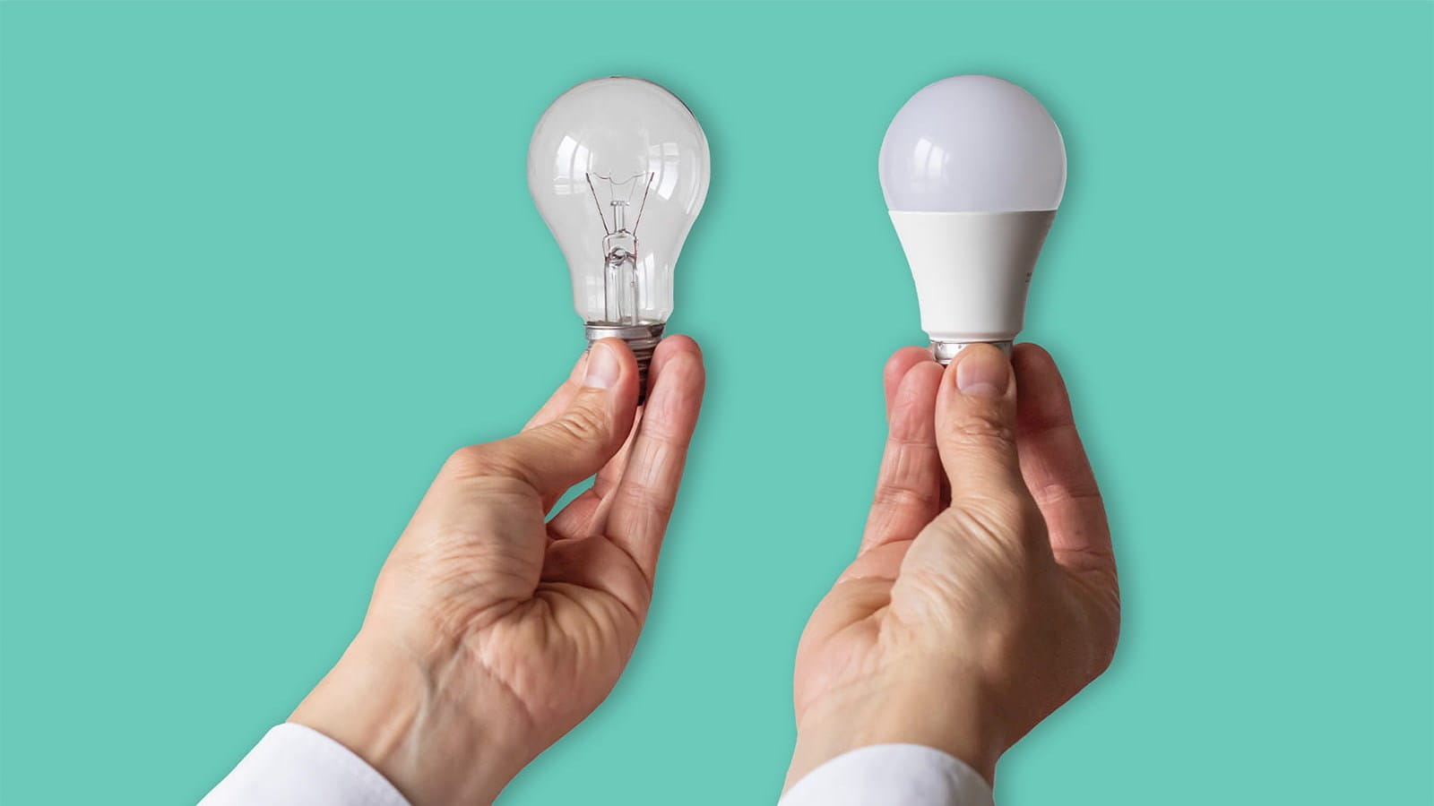 light bulbs old new energy saving hands held ICAEW Audit & Beyond sustainability reporting