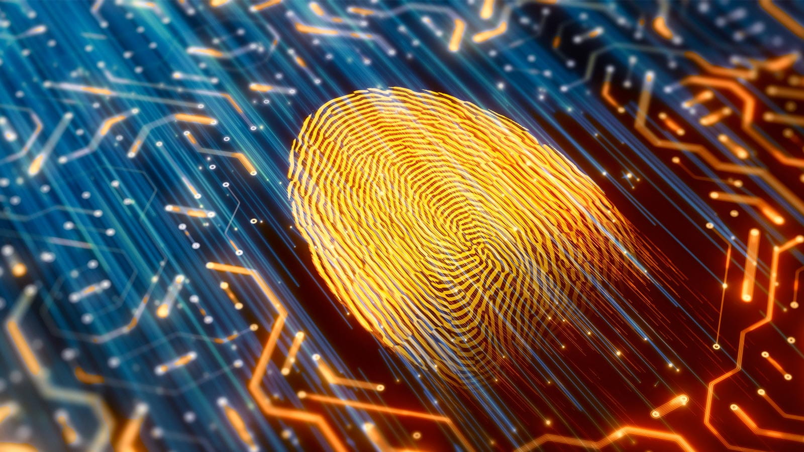 thumbprint within a computer circuit board electronic cyber security forensic