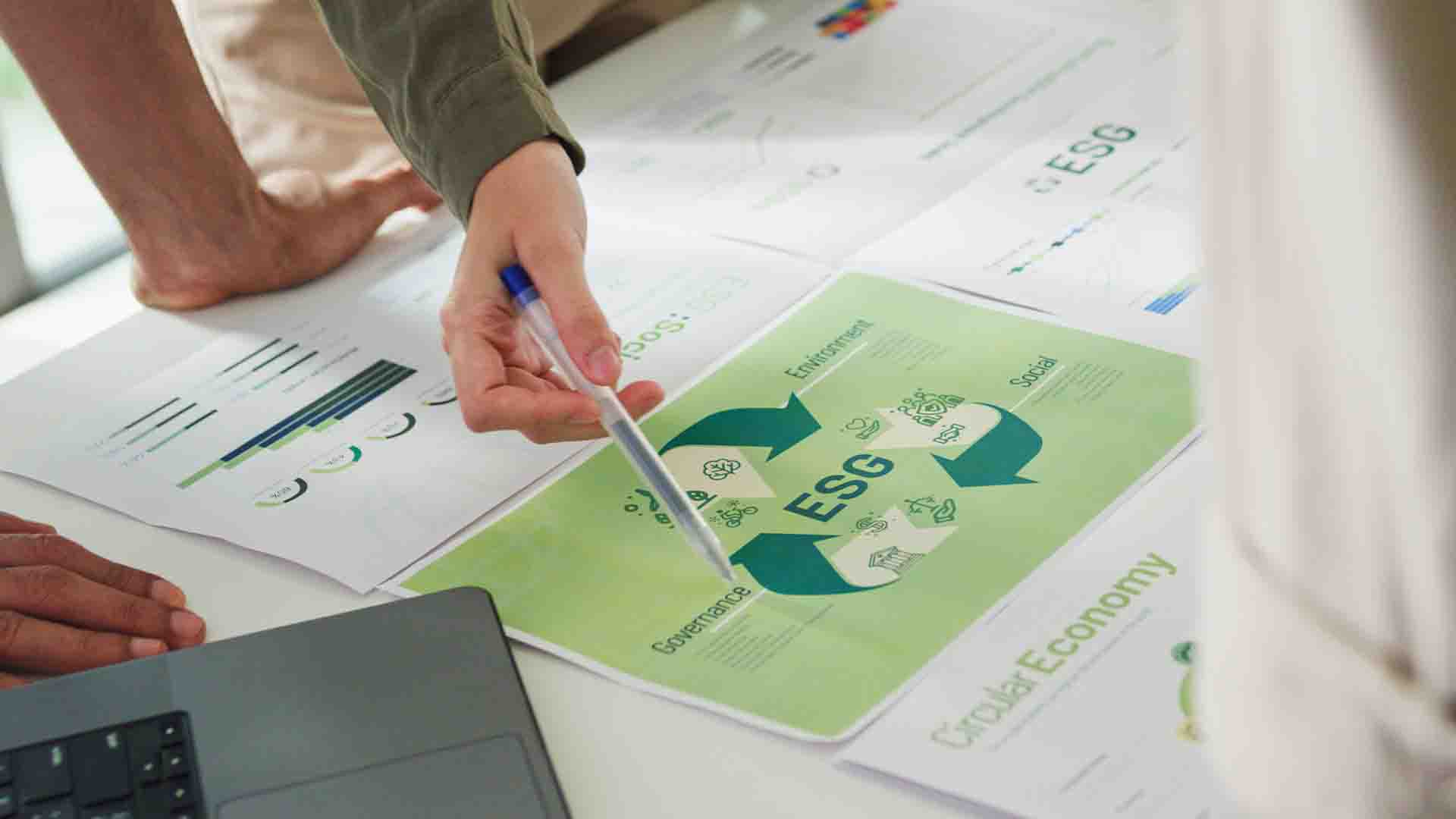 Advancing sustainability reporting and assurance