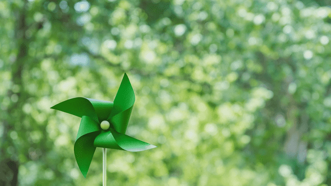 Image of paper fan in nature