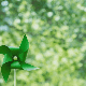 Image of paper fan in nature