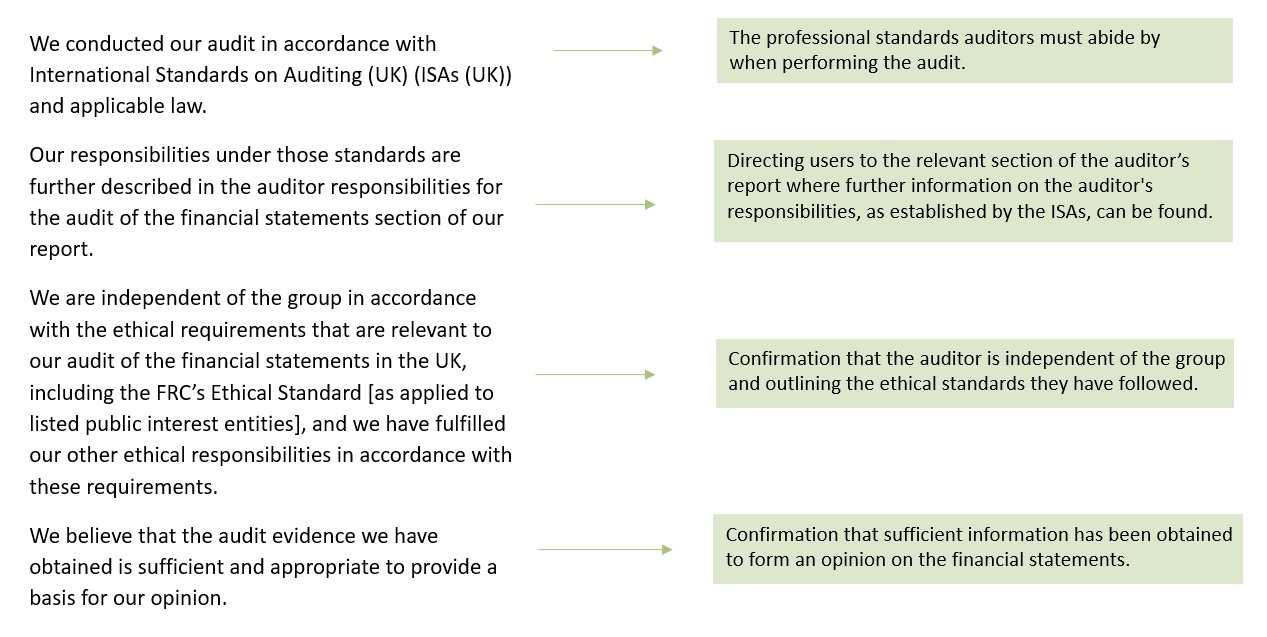 Basis for opinion example text and descriptions