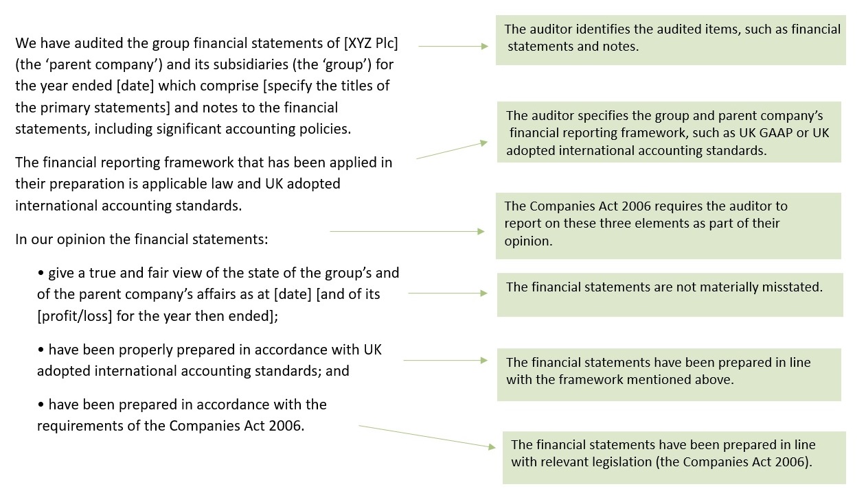 Opinion example text and descriptions