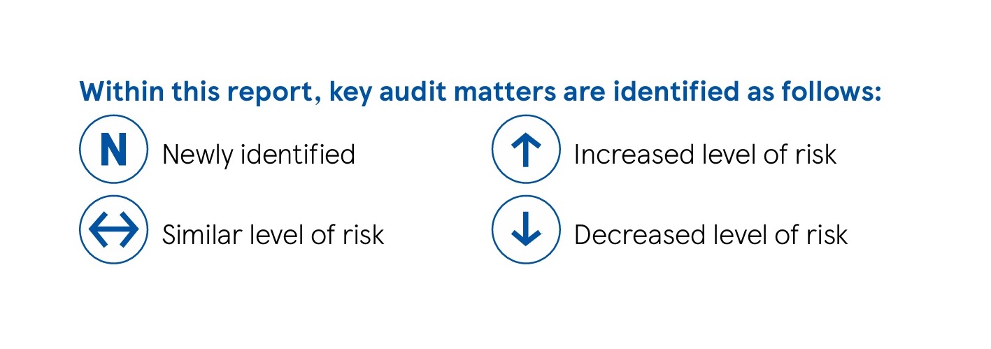  Auditor's report copy example