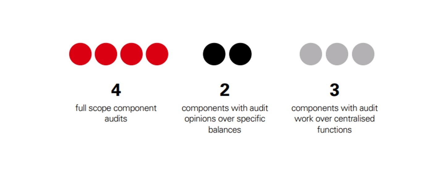  Auditor's report copy example