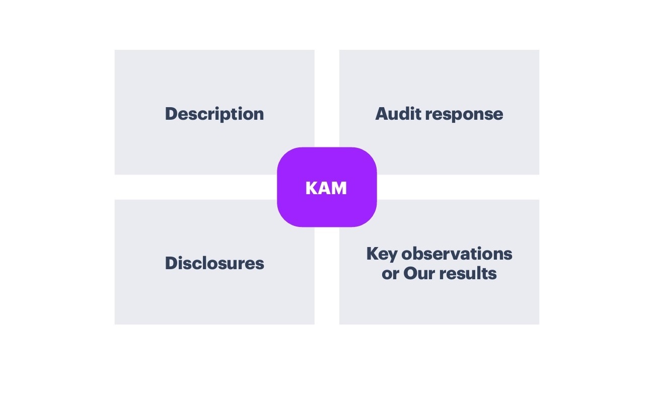  Auditor's report copy example