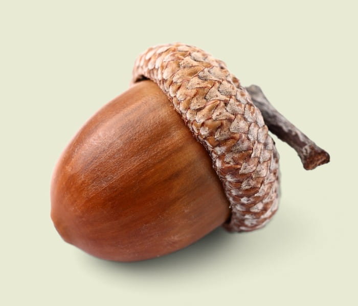 Image supporting the Business Finance Guide