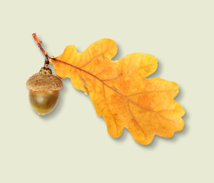 Business finance guide