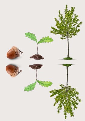 Business Finance Guide