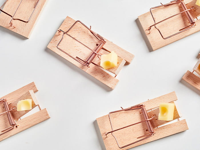 mouse traps cheese wood Rentokil Terminix ICAEW Corporate Financier