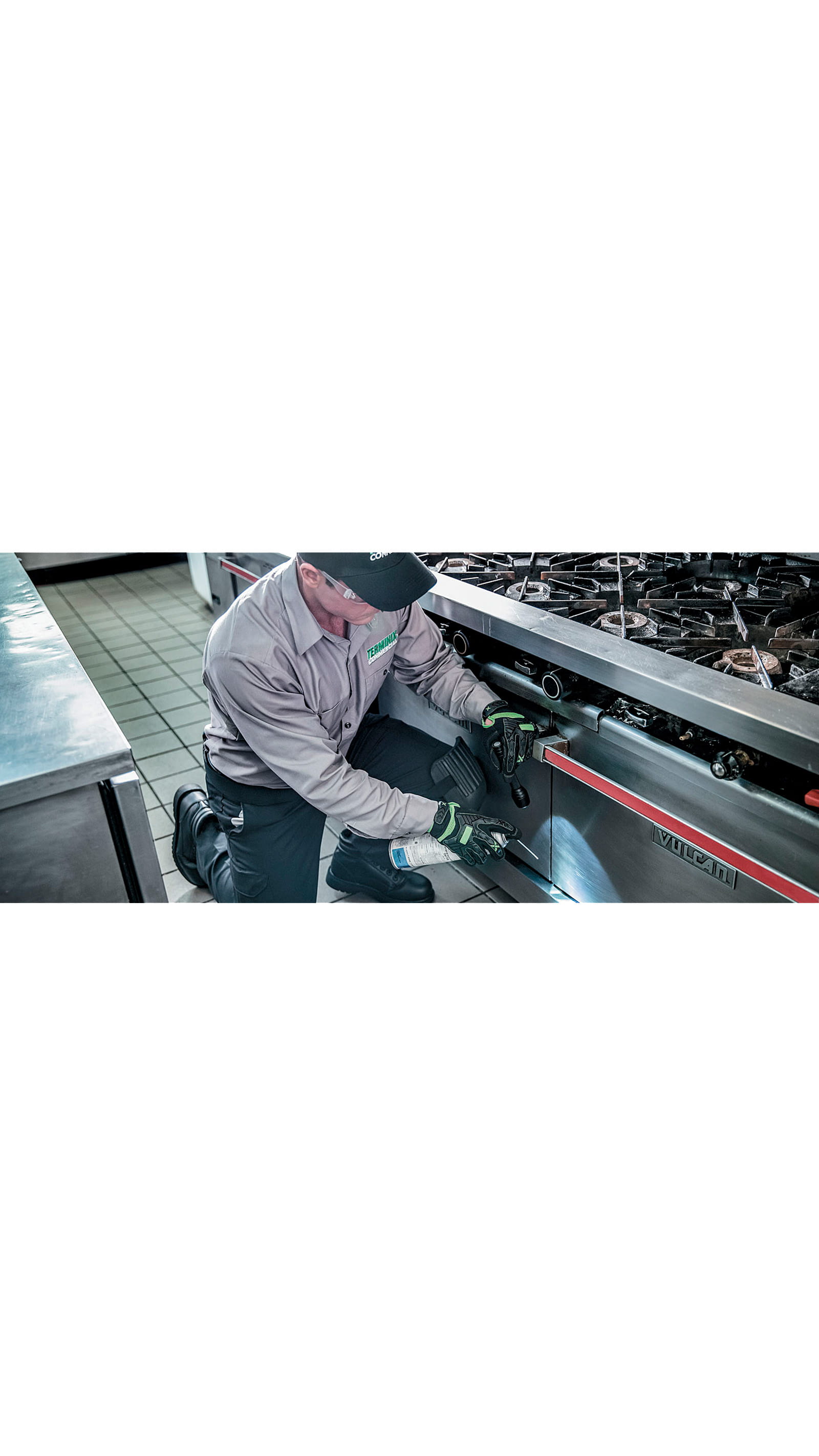 Terminix Rentokil employee exterminator restaurant kitchen oven ICAEW Corporate Financier