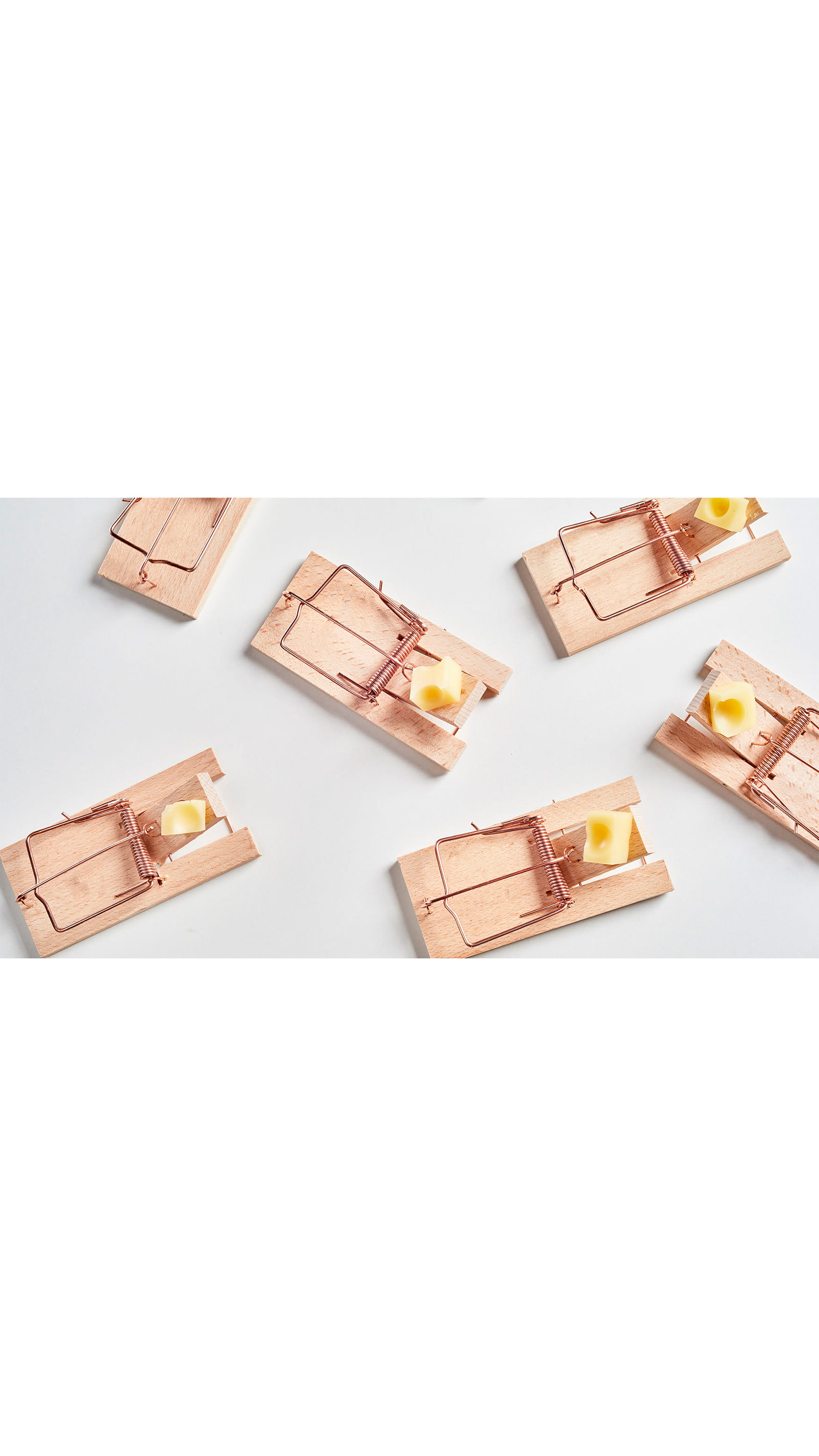 mouse traps cheese wood Rentokil Terminix ICAEW Corporate Financier