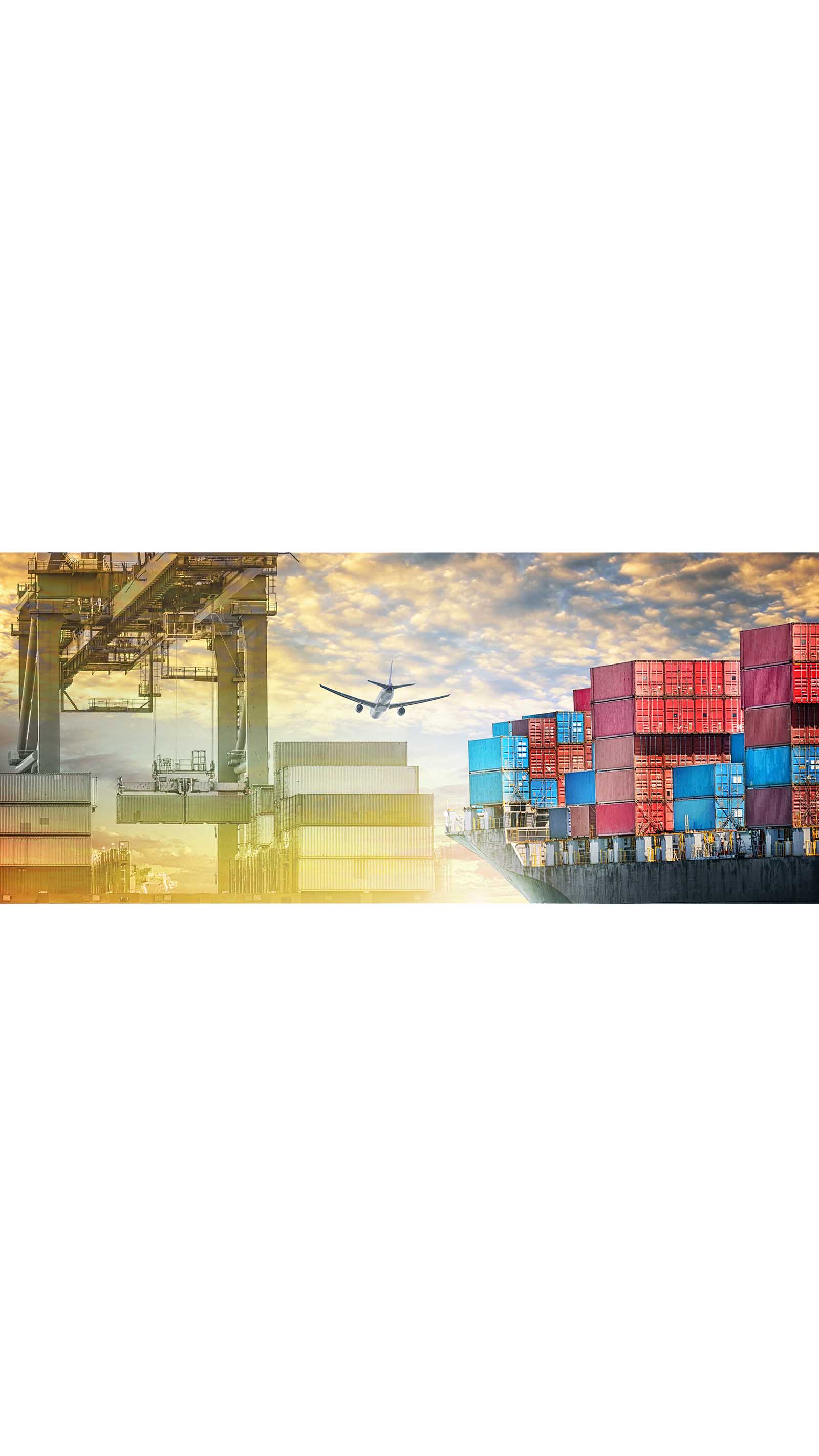 cargo ships shipping containers stacked high dock dockyard crane plane in the background sky