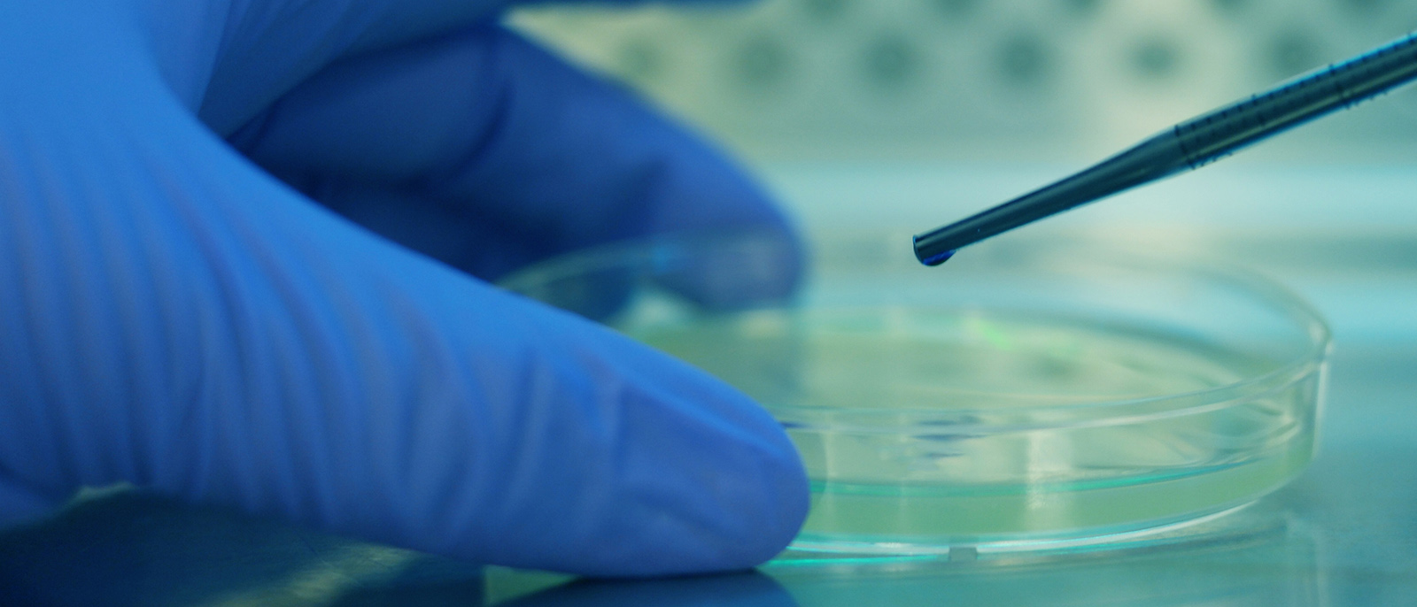 photo of science lab test tube syringe petri dish scientist hand wearing a blue glove
