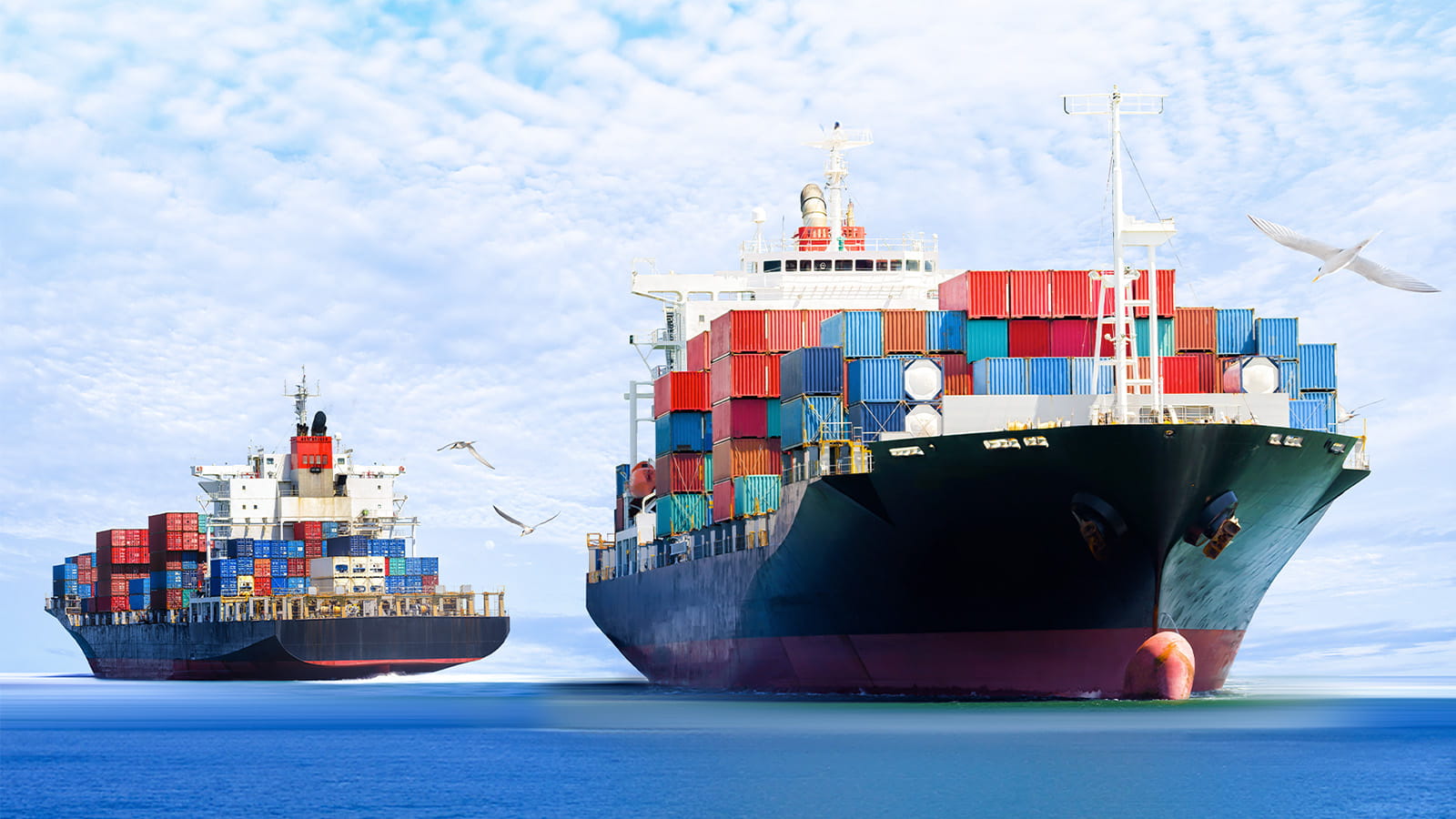 two large cargo ships on the ocean seagulls shipping containers water sea