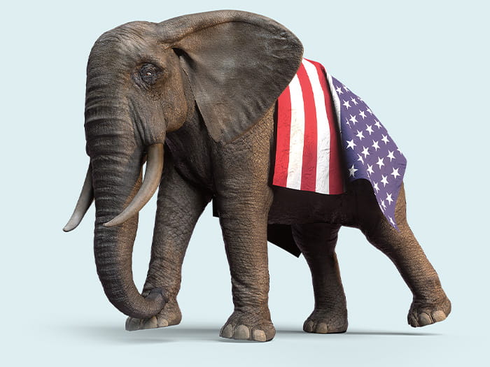 digital image of an elephant wearing the United States of America flag stripes and stars
