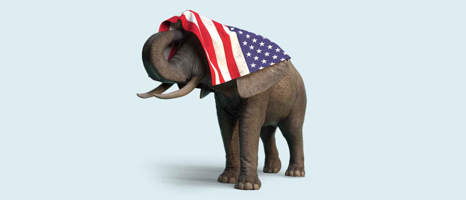 digital image of an elephant wearing the United States of America flag stripes and stars on its head