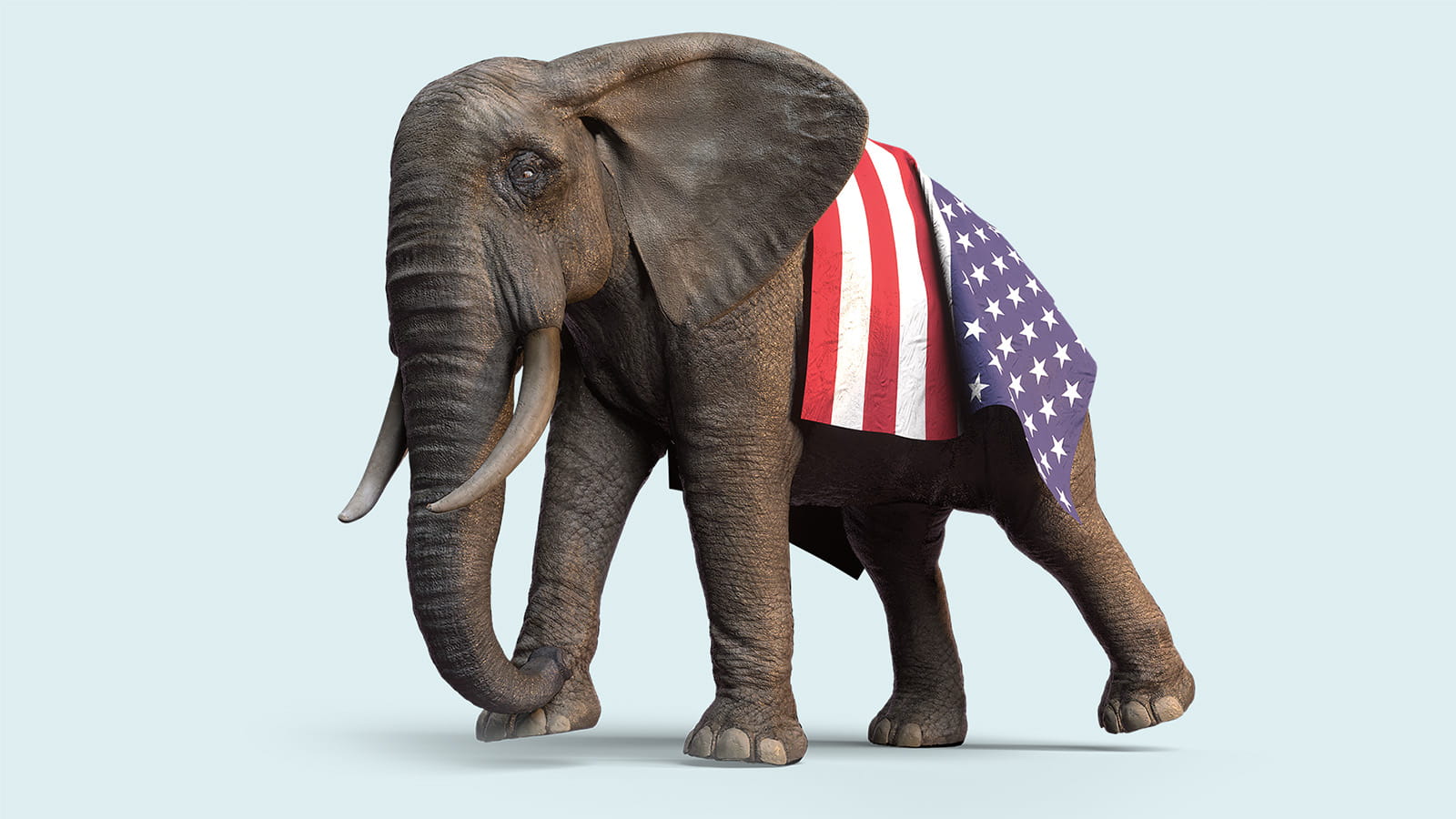 digital image of an elephant wearing the United States of America flag stripes and stars